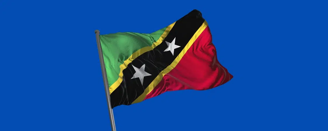 Nevis Trust Cost