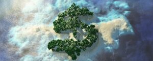 Почему оффшоры на островах: причины, примеры и преимущества