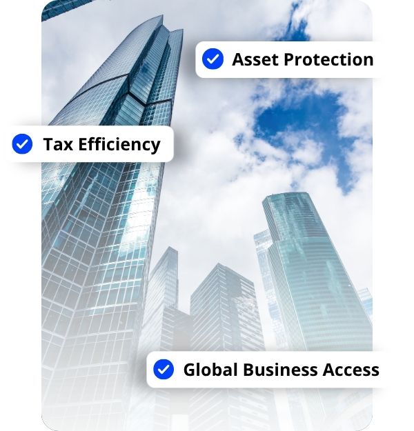 Ready-Made Companies for Sale