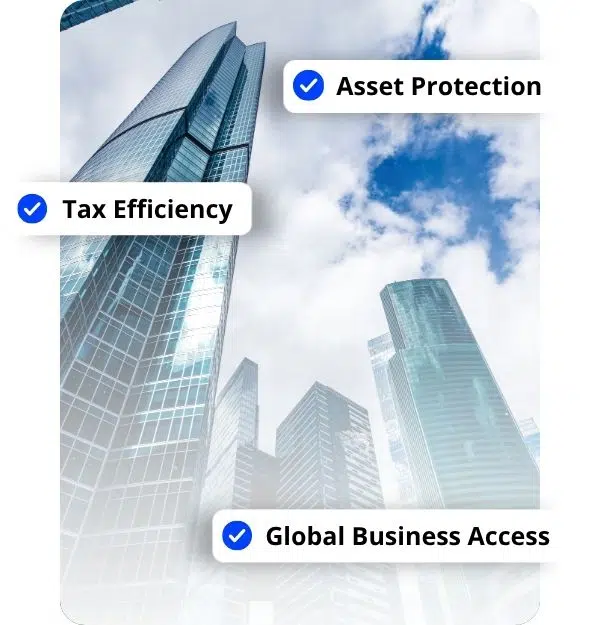 Ready-Made Companies for Sale