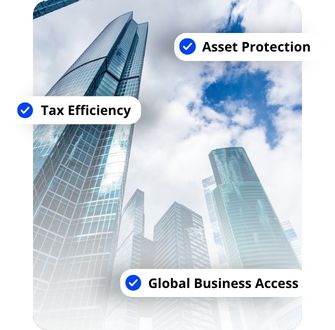 Ready-Made Companies for Sale
