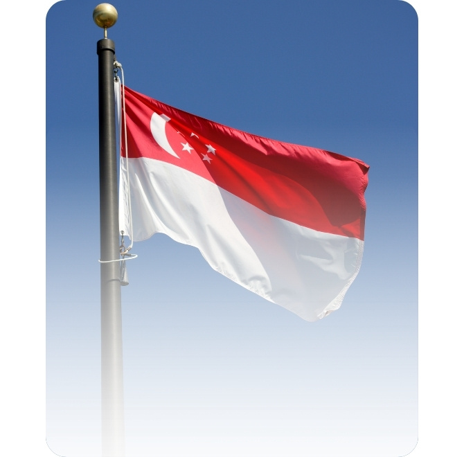 Constitución de una Empresa en Singapur
